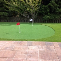 Artificial Grass Carpet Fennville, Michigan Landscape Rock, Backyard Ideas