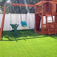 Artificial Grass Ionia, Michigan Landscaping, Backyard Landscape Ideas