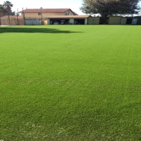 Artificial Grass Stony Point, Michigan Landscape Photos, Parks