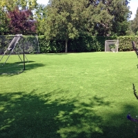 Artificial Turf Cost Vandercook Lake, Michigan Sports Turf, Backyards