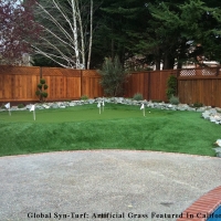 Artificial Turf Cost Wyandotte, Michigan Design Ideas, Backyard Ideas