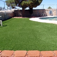 Fake Grass Capac, Michigan Rooftop, Natural Swimming Pools