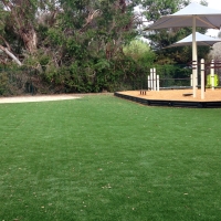 Fake Grass Carpet Port Austin, Michigan Playground Turf