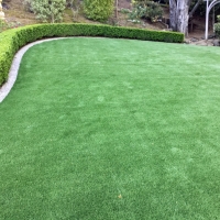 Fake Grass Carpet Westphalia, Michigan Rooftop, Backyard Garden Ideas