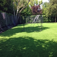 Fake Lawn Pewamo, Michigan Stadium, Backyard Landscape Ideas