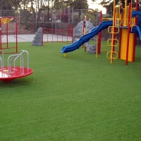 Fake Turf Roosevelt Park, Michigan Backyard Deck Ideas, Parks