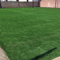 Faux Grass Brownlee Park, Michigan Backyard Soccer