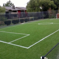 Grass Carpet Gaines, Michigan High School Sports, Commercial Landscape