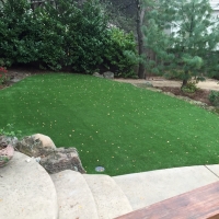 Grass Turf Camden, Michigan Roof Top, Backyard Garden Ideas