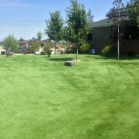 Grass Turf Deerfield, Michigan Pet Turf, Recreational Areas