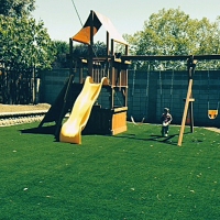 Grass Turf Saint Louis, Michigan Roof Top, Backyard Design