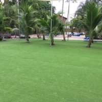 Grass Turf Sanford, Michigan Roof Top, Commercial Landscape