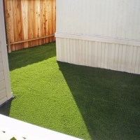 Outdoor Carpet Flint, Michigan Pet Grass, Small Backyard Ideas