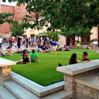 Plastic Grass Portland, Michigan Landscape Design, Parks