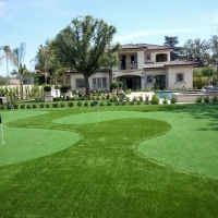 Synthetic Grass Barton Hills, Michigan Garden Ideas, Front Yard Ideas