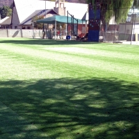 Synthetic Grass Southfield, Michigan Roof Top, Parks