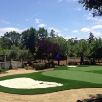 Synthetic Turf Lapeer, Michigan City Landscape, Front Yard Ideas