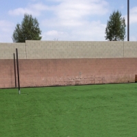 Synthetic Turf Union City, Michigan Design Ideas