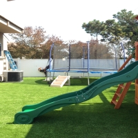 Turf Grass Unionville, Michigan Kids Indoor Playground, Backyard Ideas