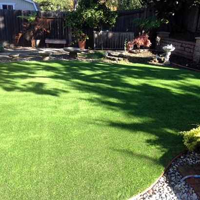 Artificial Grass Akron, Michigan Pictures Of Dogs, Backyard