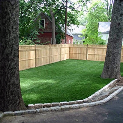 Artificial Grass Carpet Freeport, Michigan Dog Pound, Beautiful Backyards