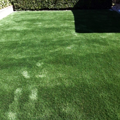 Artificial Grass Carpet Lincoln Park, Michigan Dog Pound, Backyard