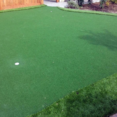 Artificial Grass Carpet Oak Park, Michigan Landscaping