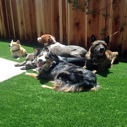 Artificial Grass Installation Maple Rapids, Michigan Fake Grass For Dogs, Small Backyard Ideas