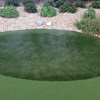 Artificial Grass Installation Muskegon Heights, Michigan Diy Putting Green