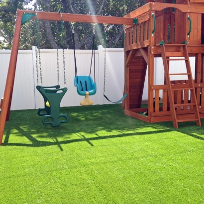 Artificial Grass Ionia, Michigan Landscaping, Backyard Landscape Ideas