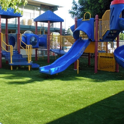 Artificial Grass Jasper, Michigan Garden Ideas, Commercial Landscape