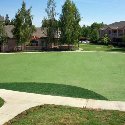 Artificial Lawn Mendon, Michigan Indoor Putting Greens, Commercial Landscape