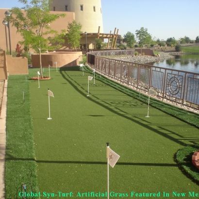 Artificial Lawn River Rouge, Michigan Landscaping, Backyard Landscaping Ideas