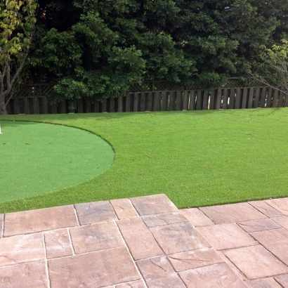 Artificial Lawn Rockwood, Michigan Outdoor Putting Green, Small Backyard Ideas