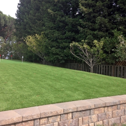 Artificial Turf Cost Edwardsburg, Michigan Putting Green Grass, Backyard Design