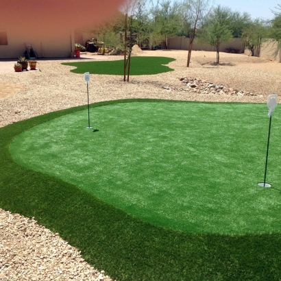 Artificial Turf Cost Rose City, Michigan Indoor Putting Green, Backyard Landscaping Ideas