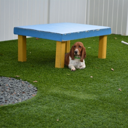 Artificial Turf Installation Caseville, Michigan Artificial Turf For Dogs, Dog Kennels