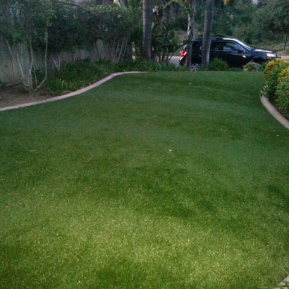 Artificial Turf Sherwood, Michigan Landscape Photos, Front Yard Ideas