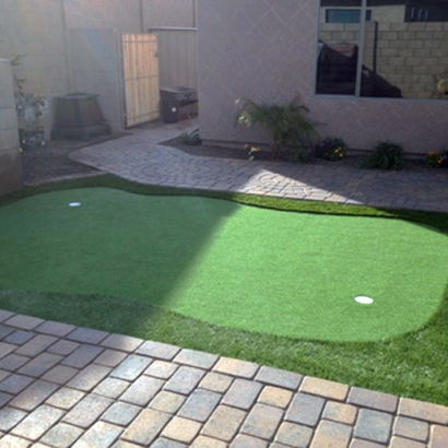 Best Artificial Grass Adrian, Michigan Putting Greens, Backyard Garden Ideas