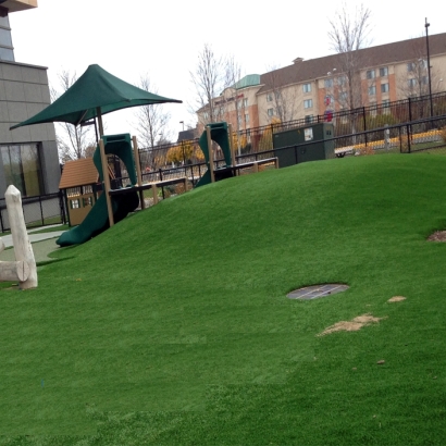 Best Artificial Grass Grosse Ile, Michigan Playground, Commercial Landscape