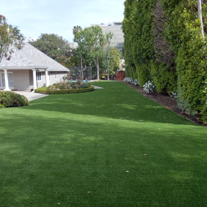 Best Artificial Grass Sanford, Michigan Landscape Design, Front Yard Landscape Ideas