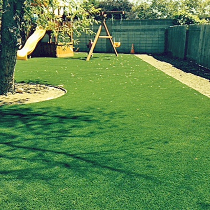 Best Artificial Grass Woodland, Michigan Landscape Ideas, Backyard