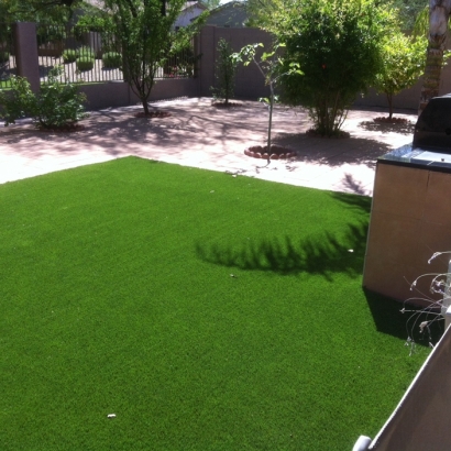 Fake Grass Carpet Bad Axe, Michigan Dog Run, Backyard Design