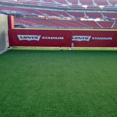 Fake Grass Carpet Elsie, Michigan Football Field