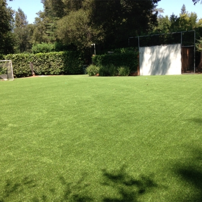 Fake Grass Carpet Fruitport, Michigan Sports Athority, Backyard Ideas