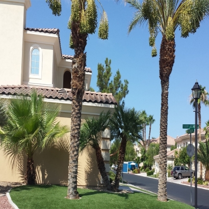 Fake Grass Carpet Ubly, Michigan Design Ideas, Front Yard Landscape Ideas