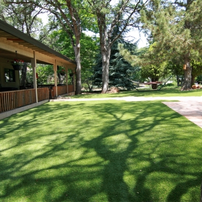 Fake Grass Carpet Wacousta, Michigan Lawn And Garden, Backyard Designs