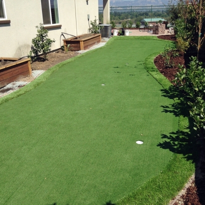 Fake Grass Fowler, Michigan Indoor Putting Greens, Small Backyard Ideas