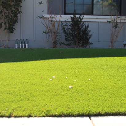 Fake Grass Pewamo, Michigan Garden Ideas, Front Yard Landscape Ideas