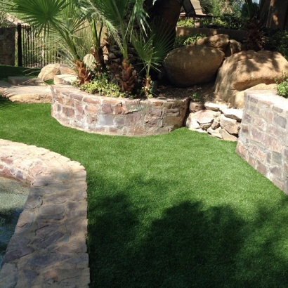 Fake Lawn Vandalia, Michigan Landscape Ideas, Small Backyard Ideas